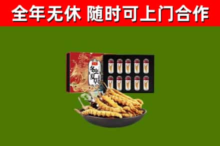 翁源回收冬虫夏草价格